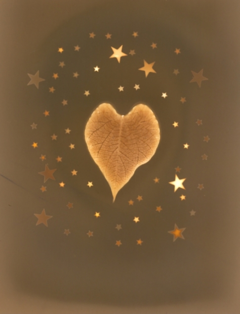 Good Morning Glory by Natasha Sanchez | This original Lumen print was created with black and white photo paper, morning glory, metallic star Good Morning Glory
